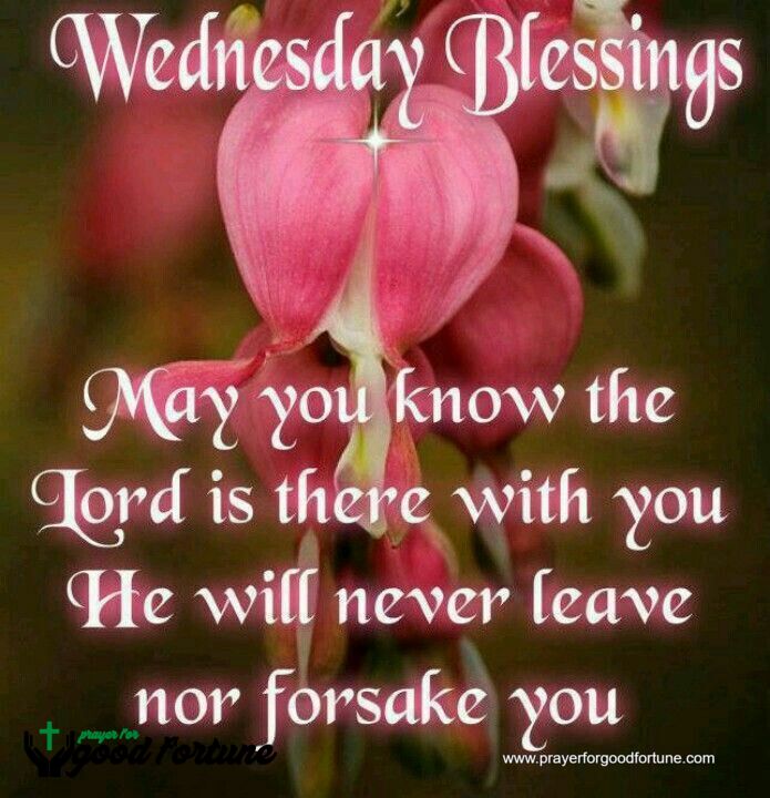 Wednesday Morning Prayers